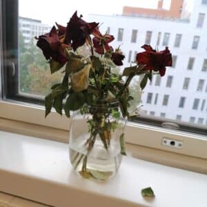 Olen itsekin menettänyt useita rakkaita lemmikkejä ja lisäksi olen ollut paljon tukena lemmikkinsä menettäneille läheisille ja asiakkaille. 